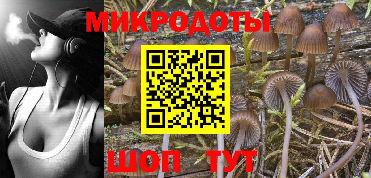 Галлюциногенные грибы Psilocybine cubensis Заинск
