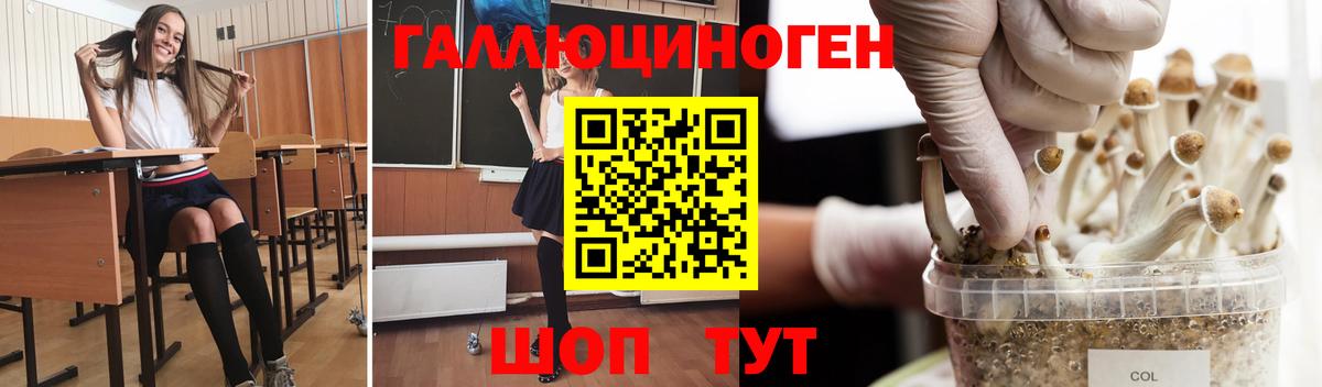 Псилоцибиновые грибы MAGIC MUSHROOMS  Псилоцибиновые грибы мухоморы  Вход с VPN  Заинск 